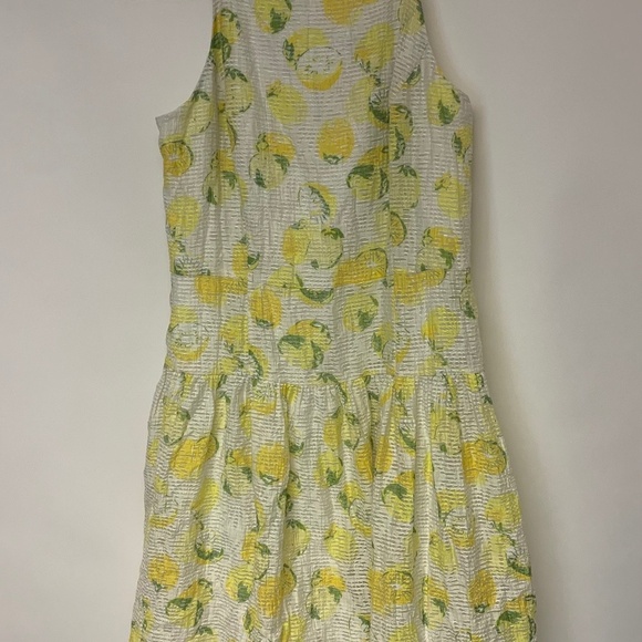 Lemon print dress Ann Taylor SZ 4 sheer banded waist retro full skirt whimsical - Picture 2 of 12